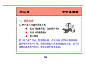 匯源集團(tuán)新產(chǎn)品營(yíng)銷策劃全案